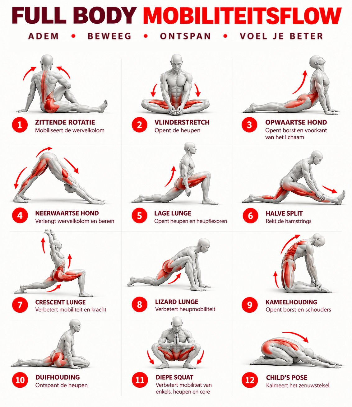 Beweeglijker bewegen, een betere houding - Robin Fokke - Personal Training